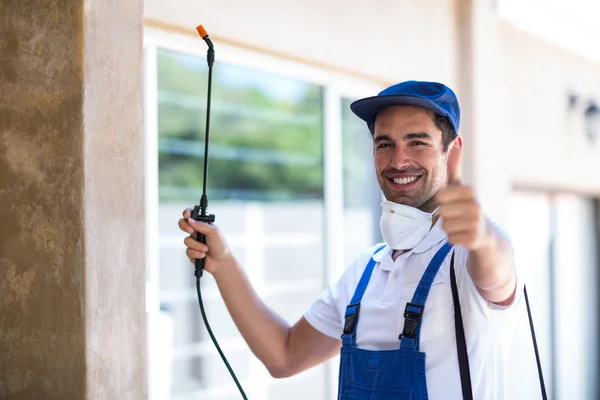 Alamo Wasp Removal