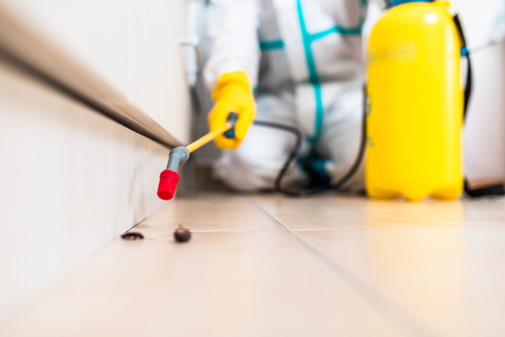 Alamo Cockroach Experts