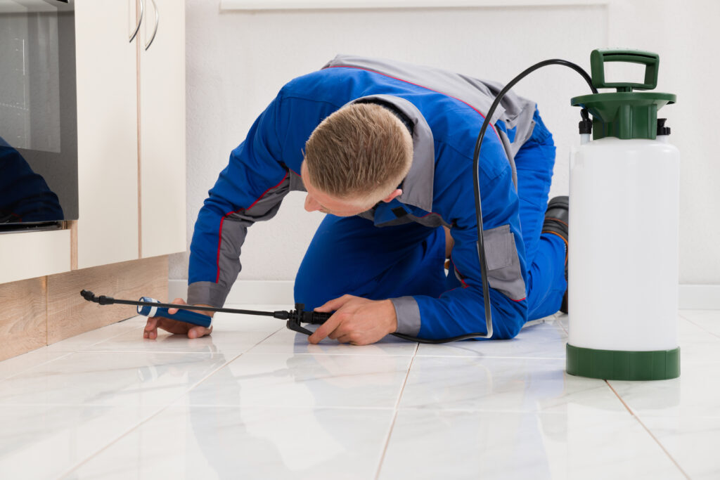 Alamo Ant Control Xperts
