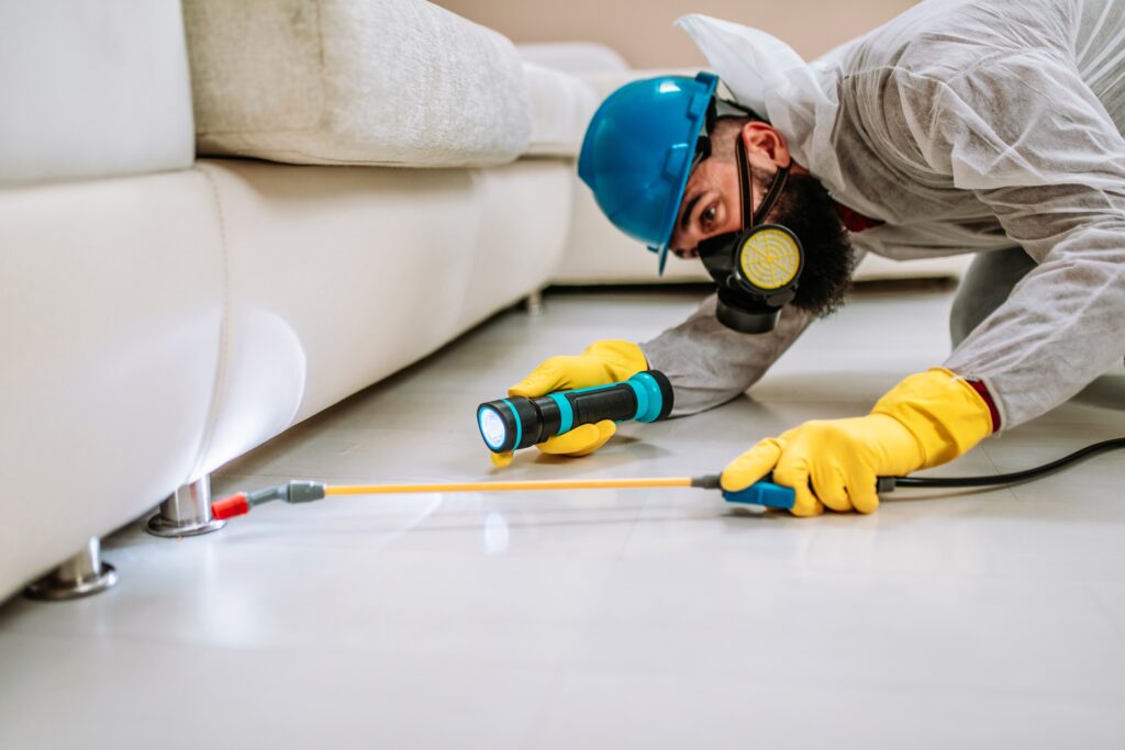 Alamo Termite Control