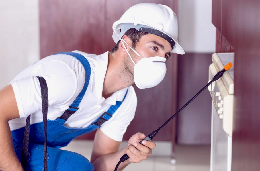 Alamo local pest services